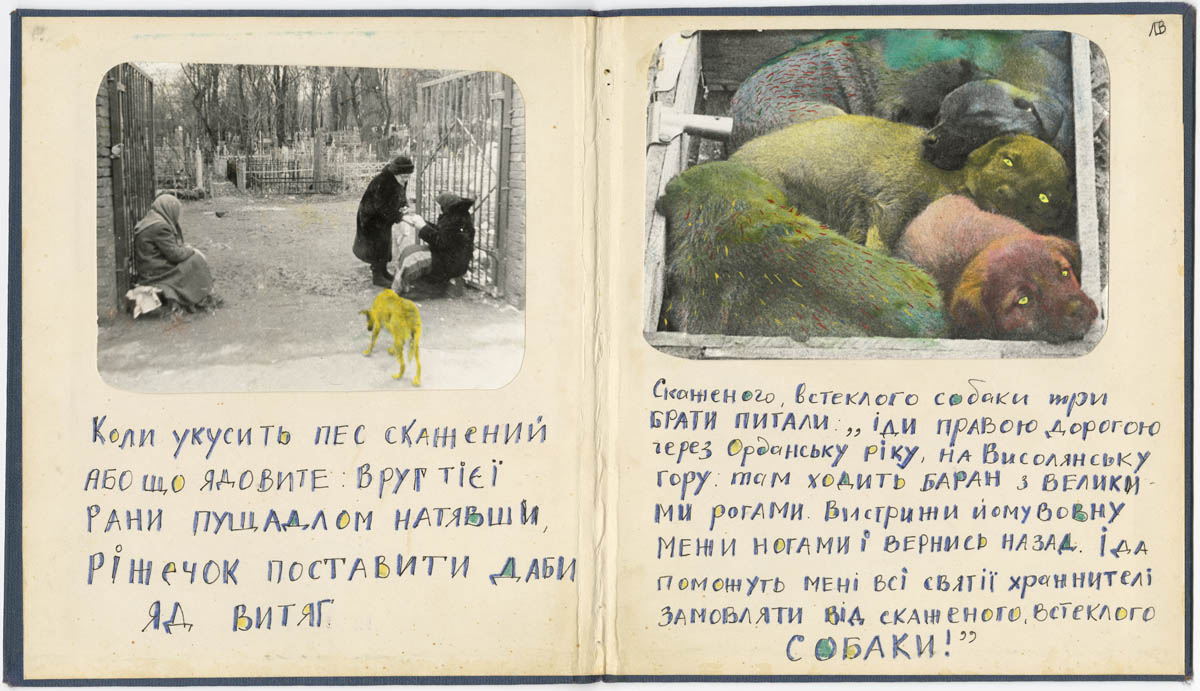 Ukrainian Healer Book 5