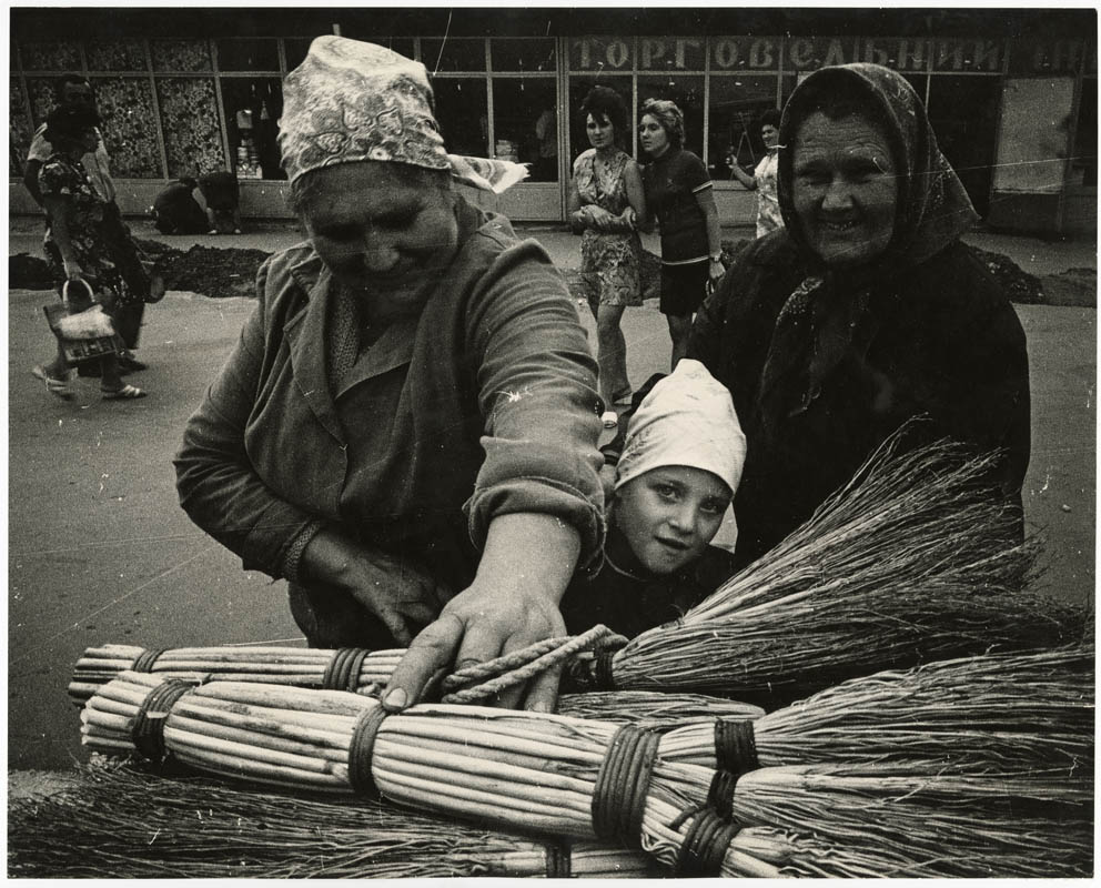 Віники