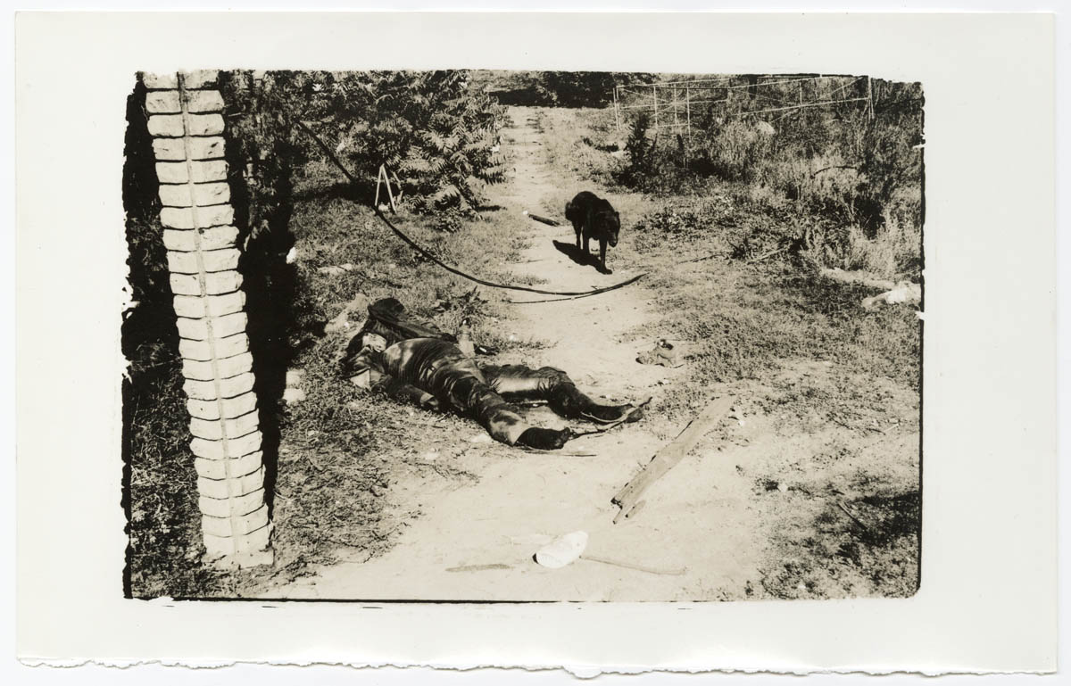 Untitled Untitled