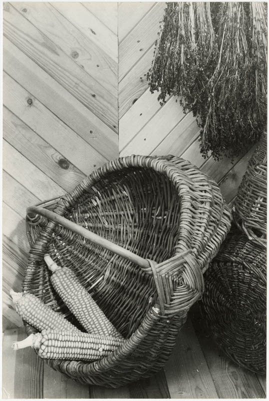 Still lifes ІI