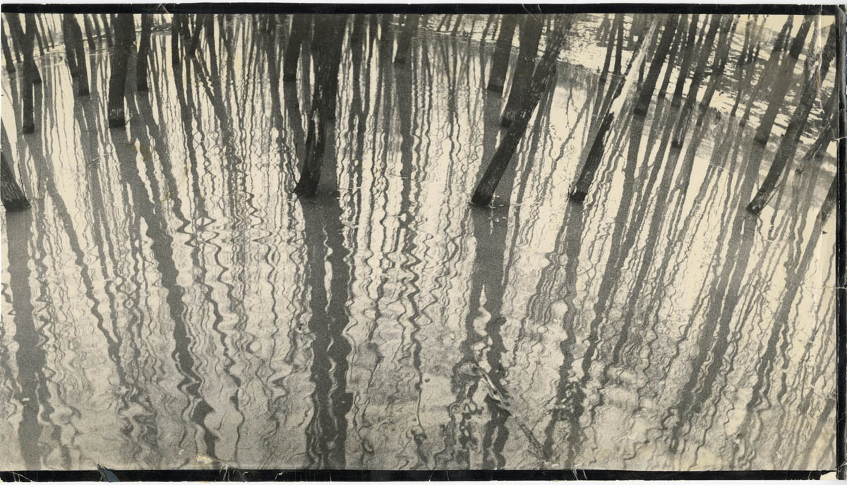 March Waters