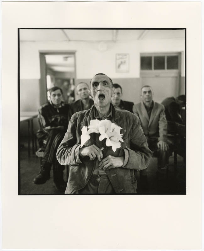 № 8