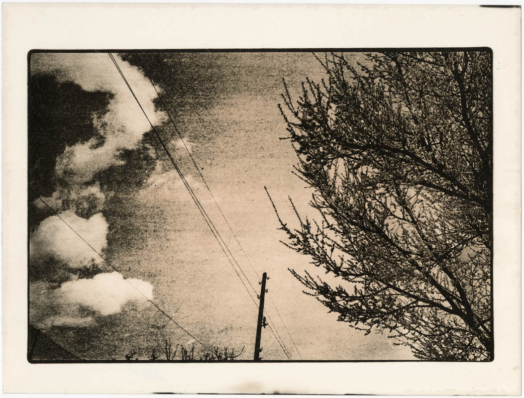 Untitled Untitled