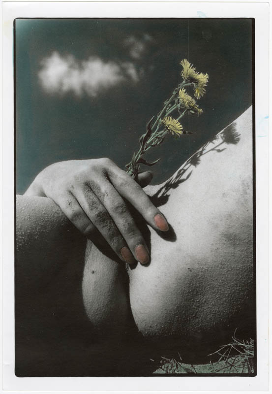Untitled Untitled