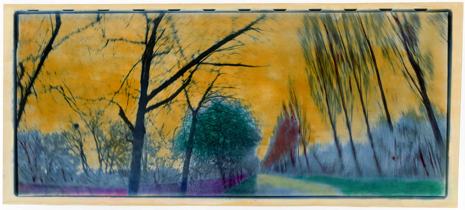 Poplar alley
