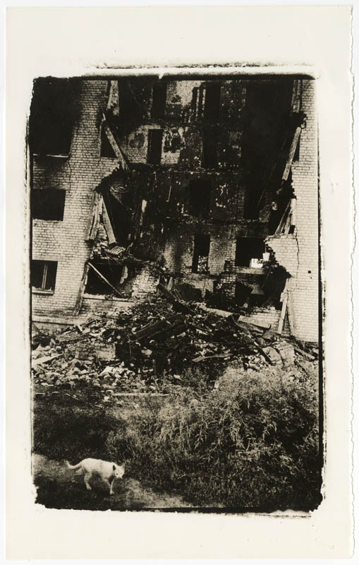 Untitled Untitled