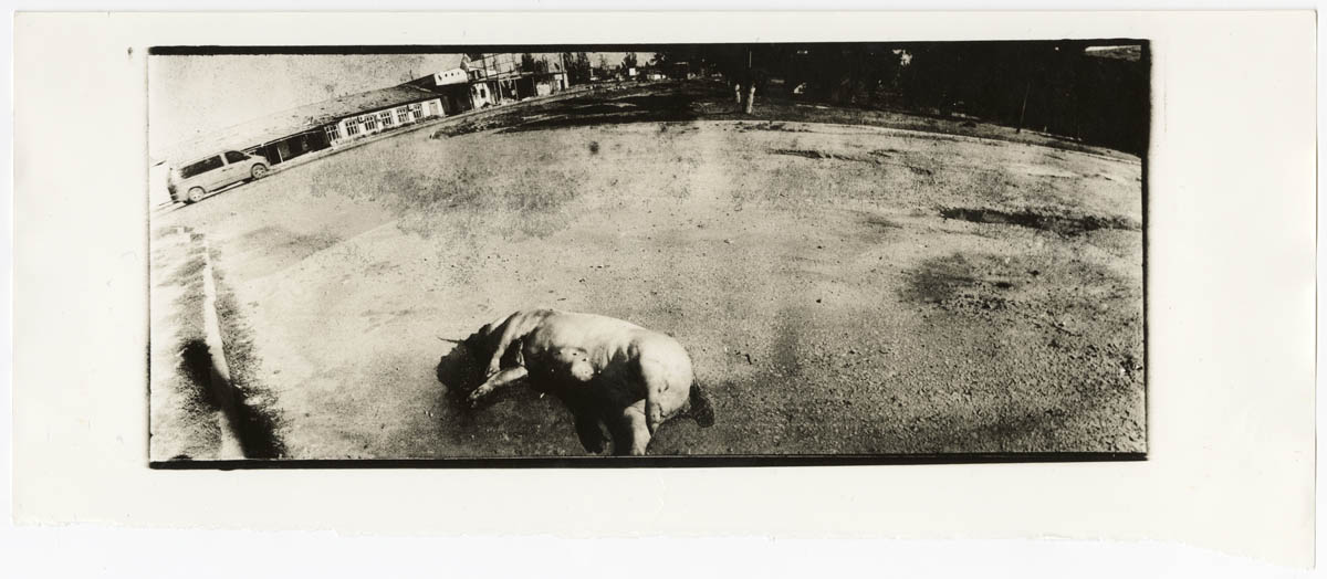 Untitled Untitled
