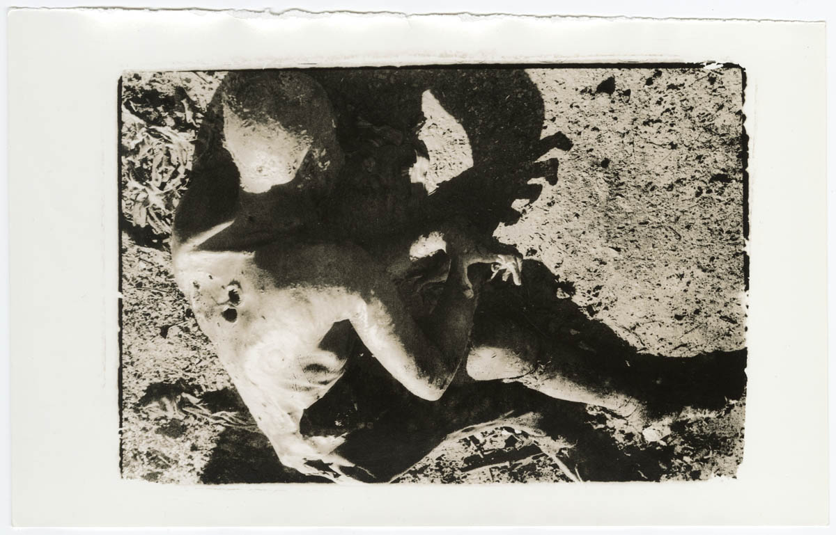 Untitled Untitled