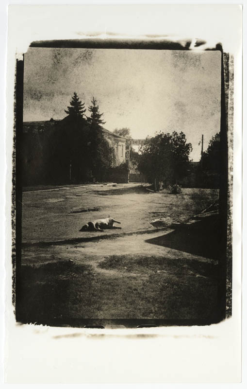 Untitled Untitled