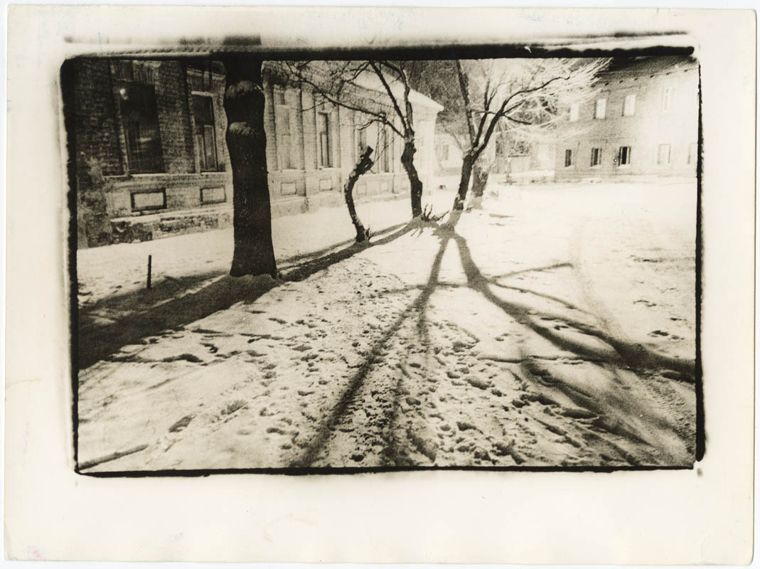 Untitled Untitled