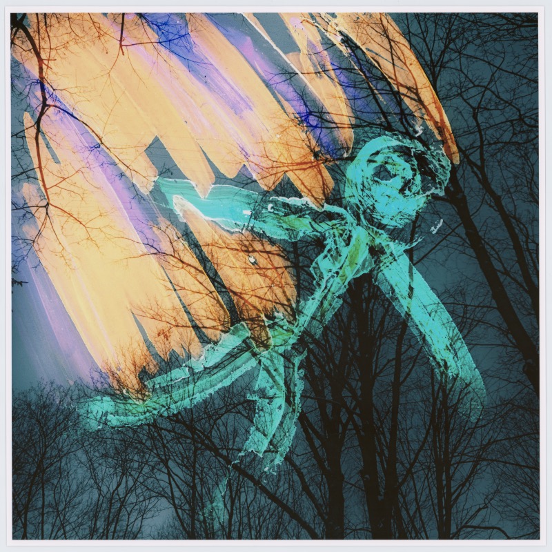 Untitled Untitled
