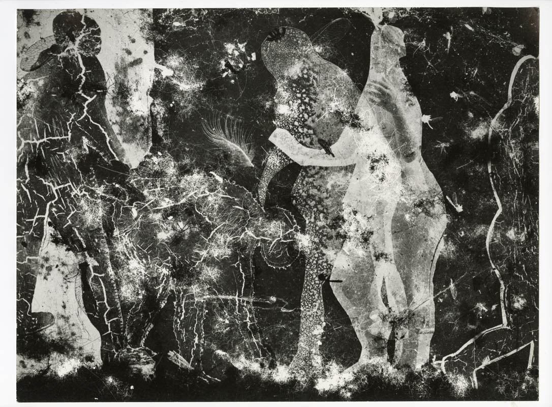 Untitled Untitled