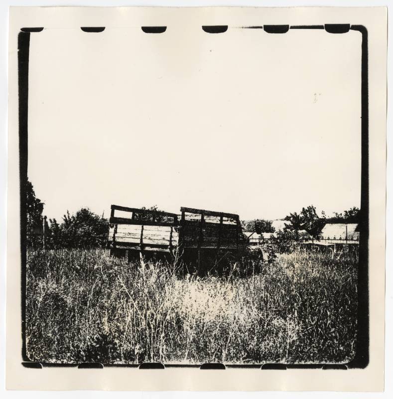 Car in Grass