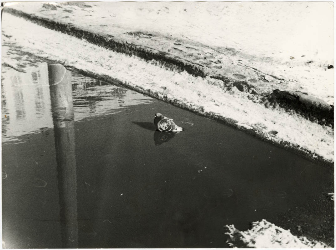 Без назви
