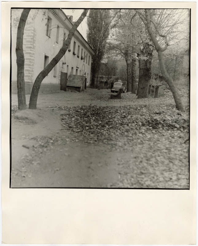 Childhood’s yard