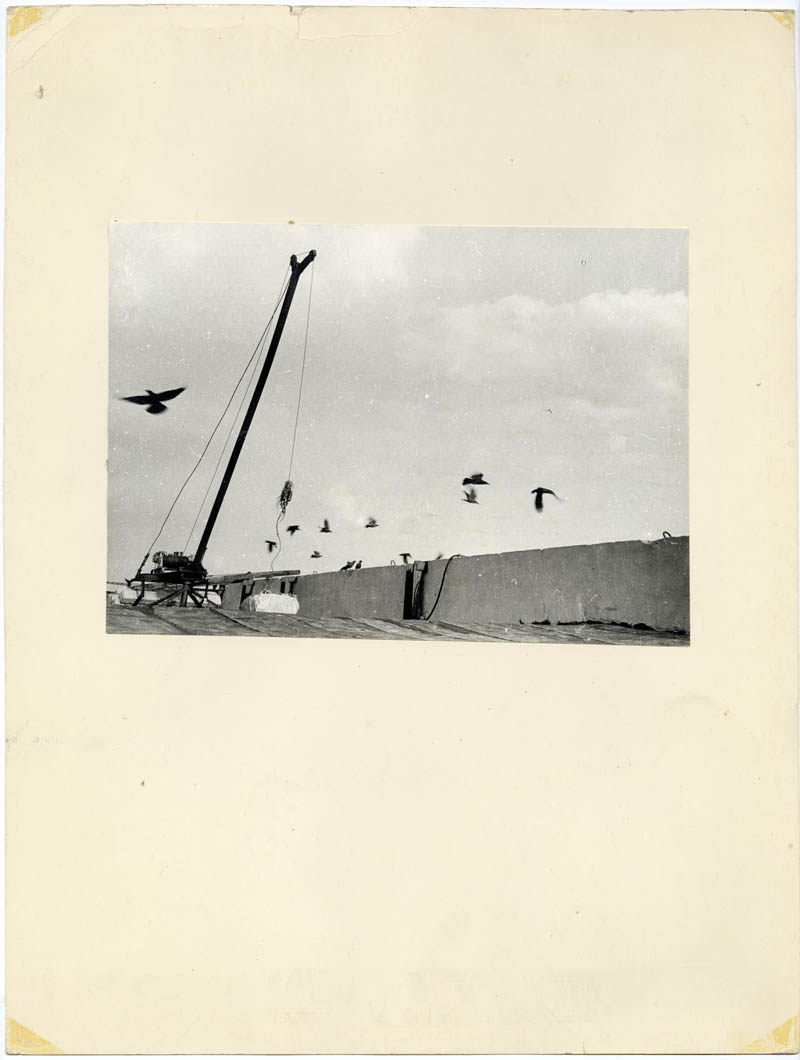 Untitled Untitled