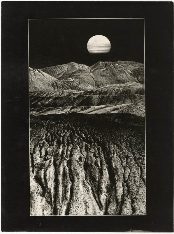 Desert’s Muteness