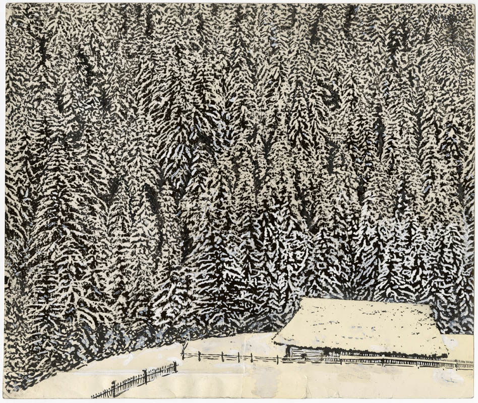 Winter in the Carpathians