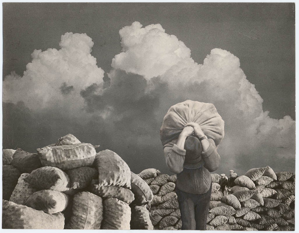 Gifts of Autumn. Burden