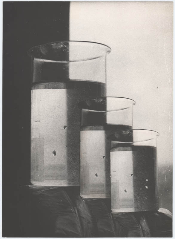 Glass (Study) Glass (Study)