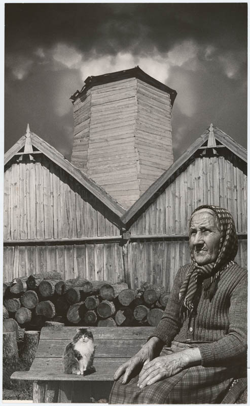 Улюбленець долі