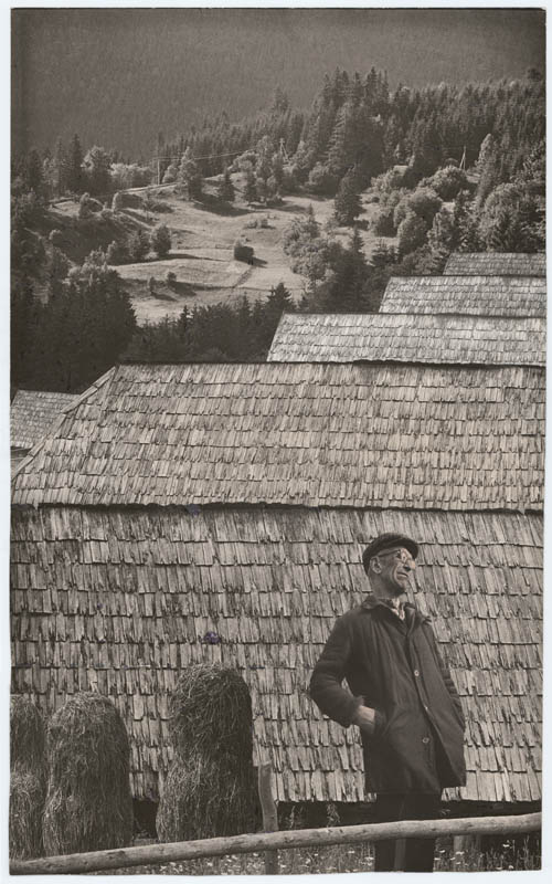 Wooden Roofs