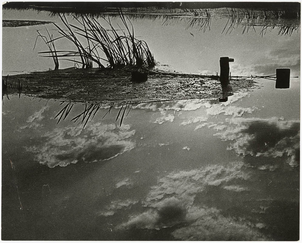 Reflection