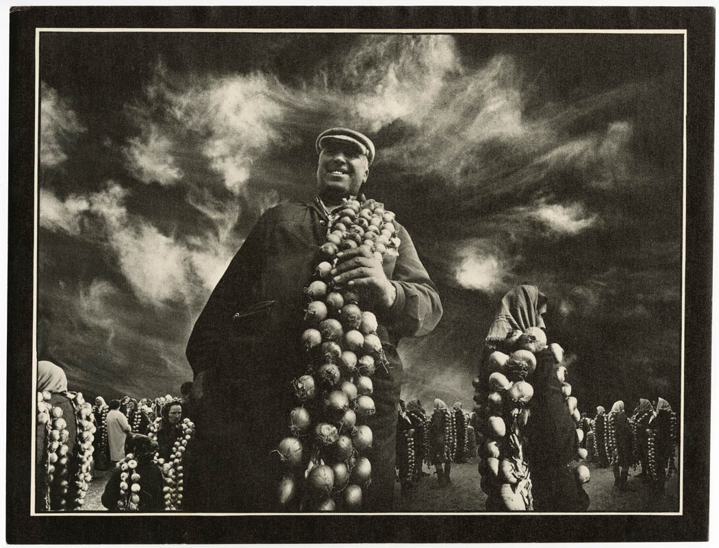 Gifts Of Autumn. King of the Market