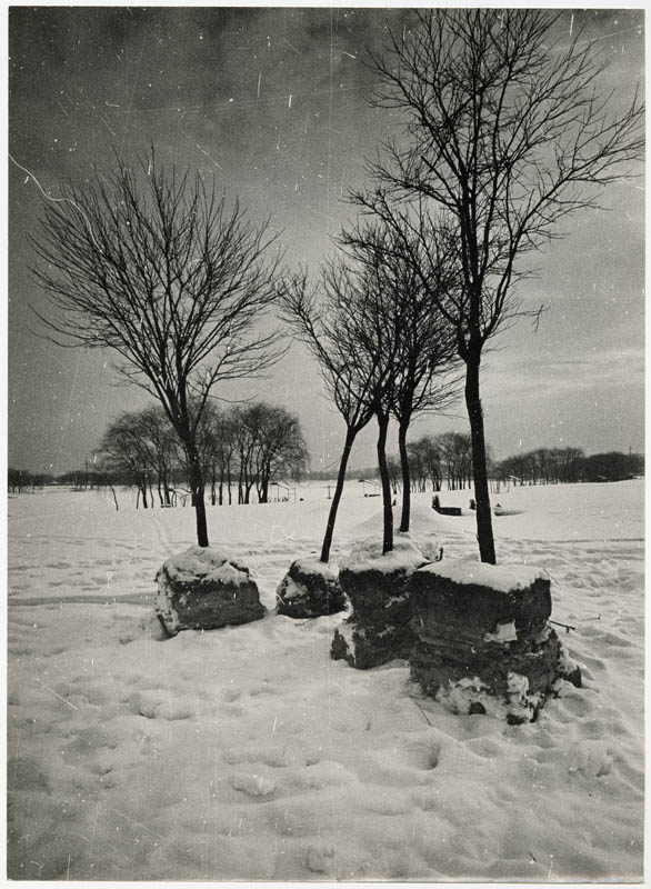 Beginning of Winter