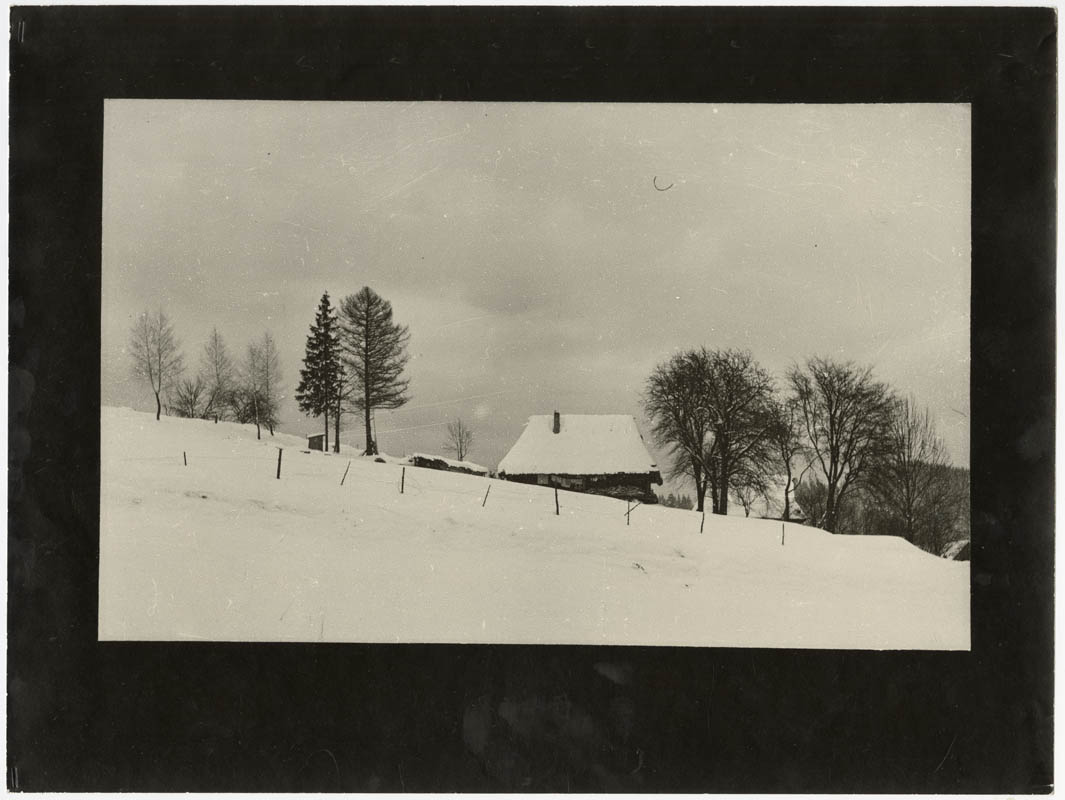 House in the Carpathians