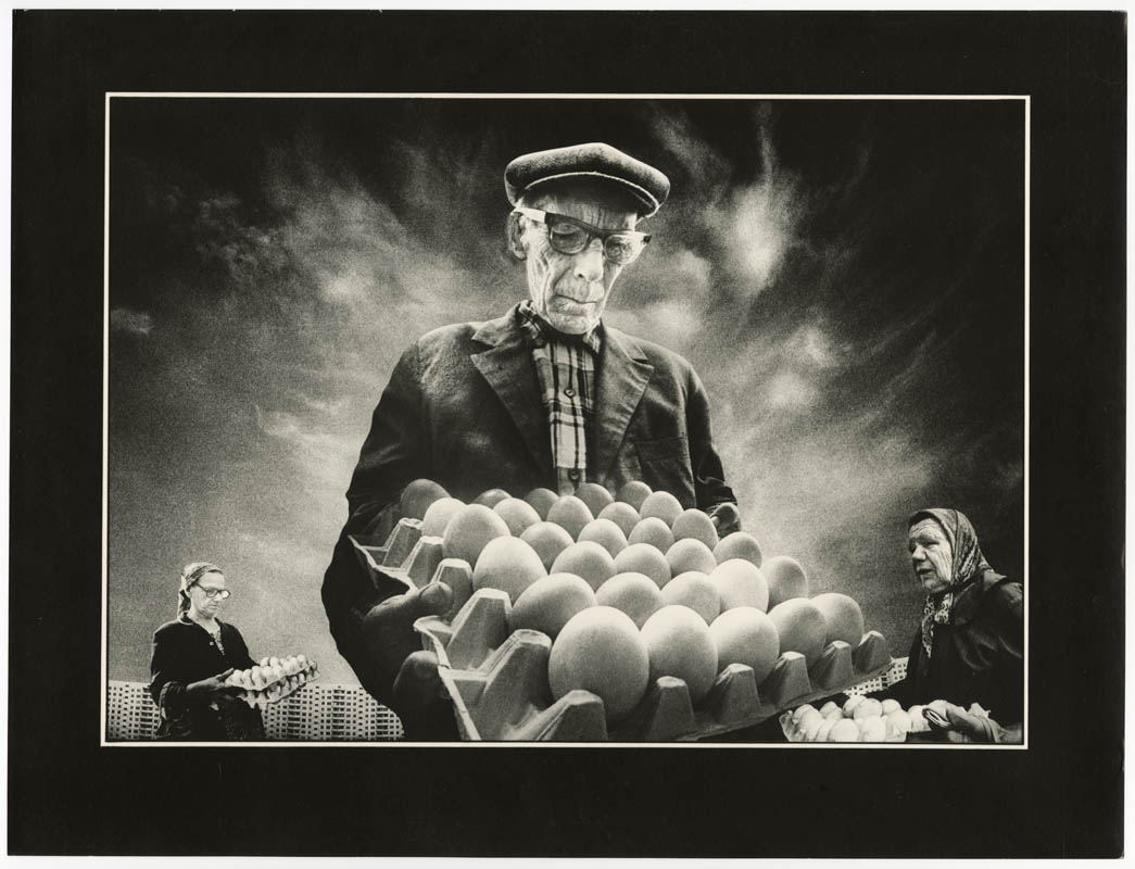 Eggs Eggs