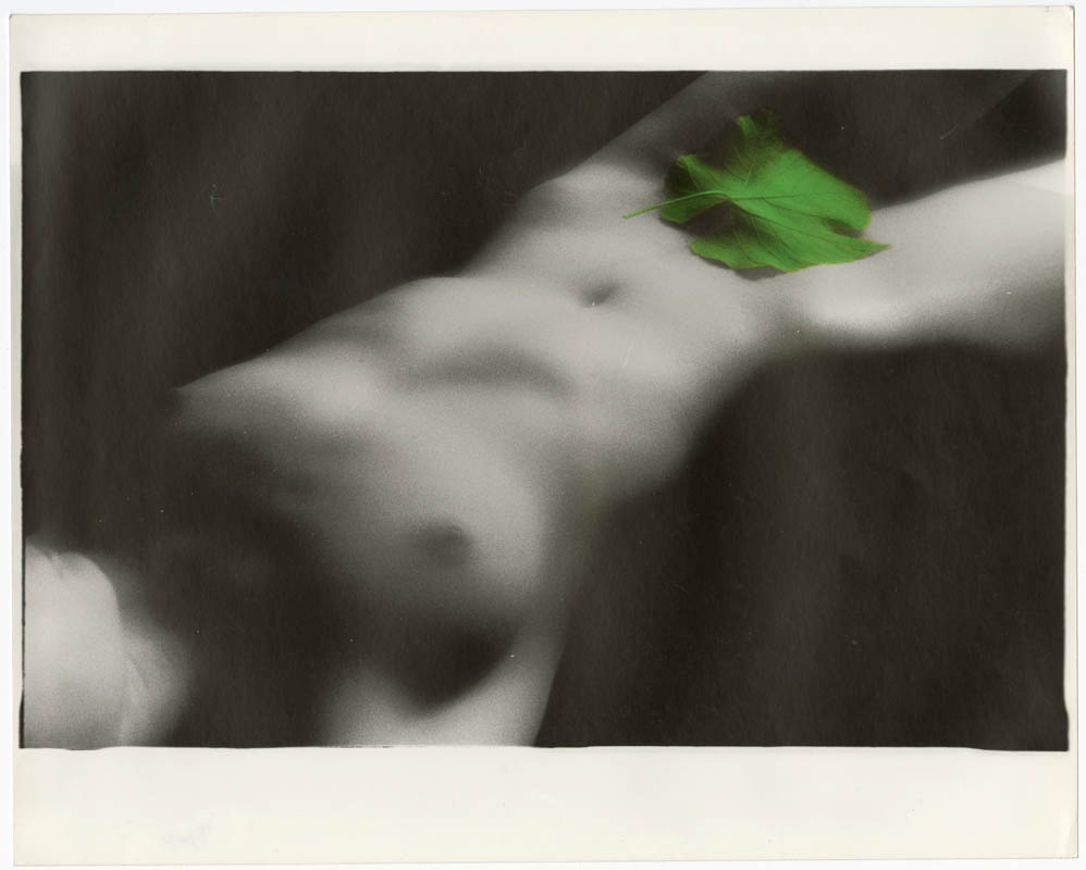 Girl with a leaf